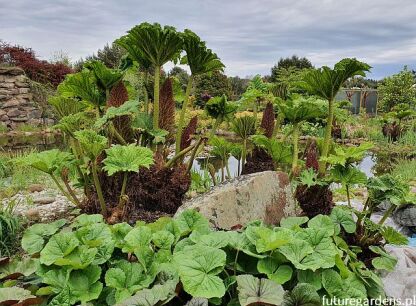 Garden  compositions 