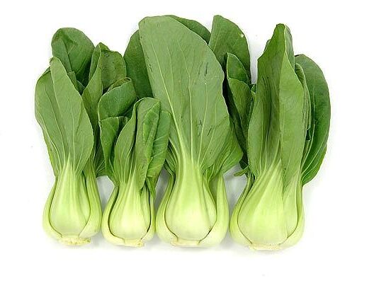 Kapusta chińska Pak-Choi - 1g nasion Brassica rapa ssp. chinensis