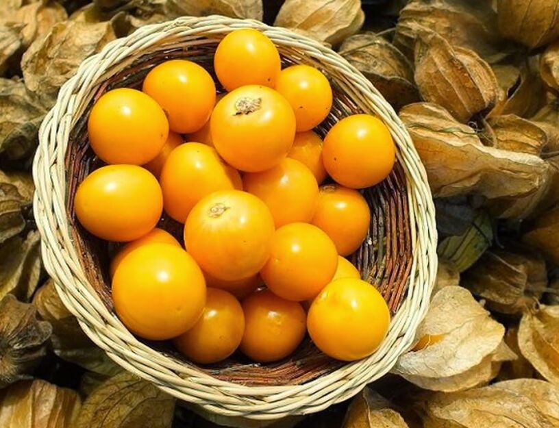 Rodzynek brazylijski Physalis peruviana Miechunka peruwiańska - nasiona 0,2g 